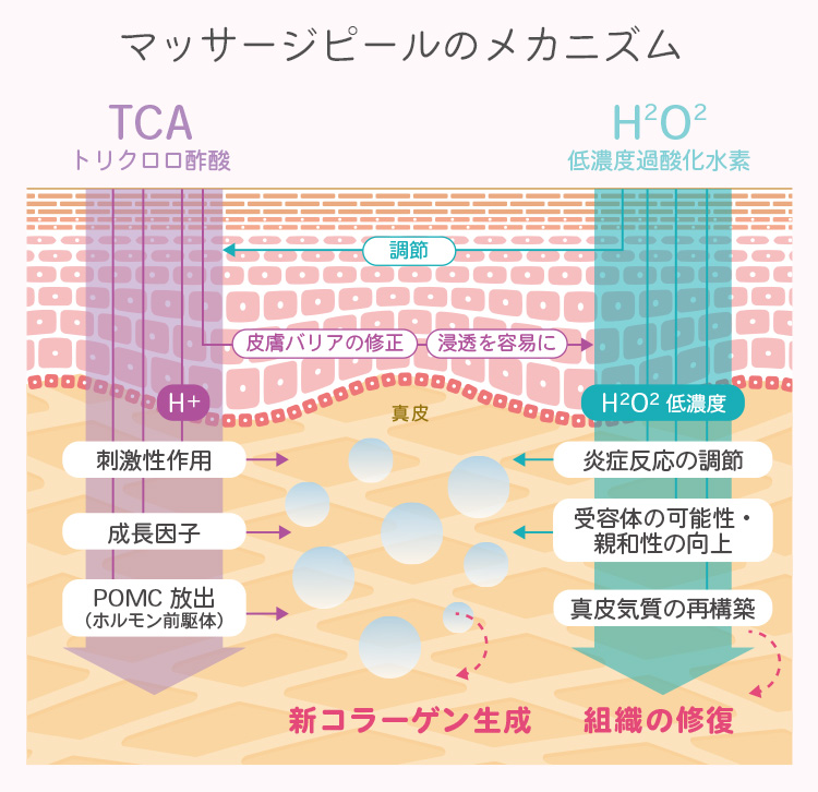 マッサージピールのメカニズム